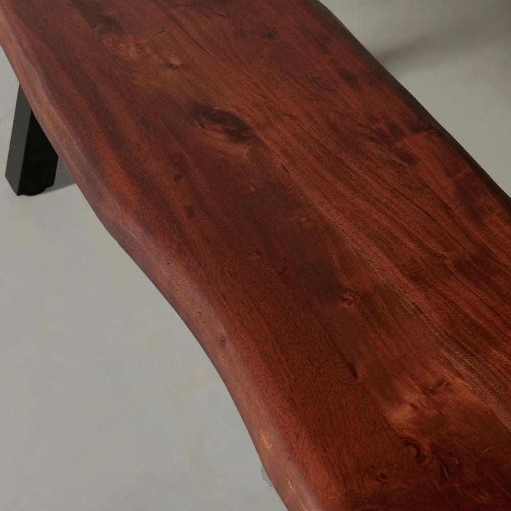 Acacia Live Edge Bench with Black Pyramid-Shaped Legs/Honey Color - Image 5