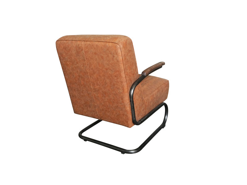 Leather Chair,Leisure Chair,Living Room Chair,Armchair Customized - Image 4