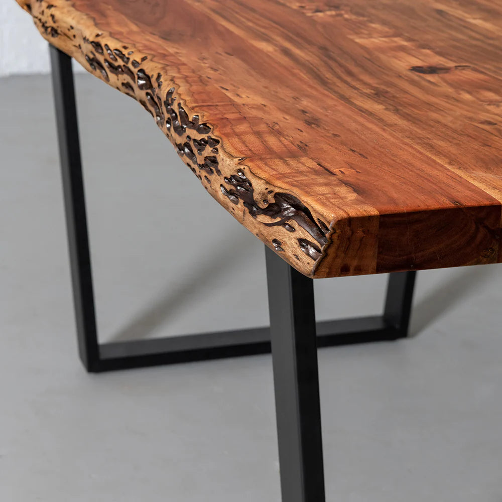 Acacia Natural Wood Live Edge Table with Black U-Shaped Legs/Natural Color - Image 3