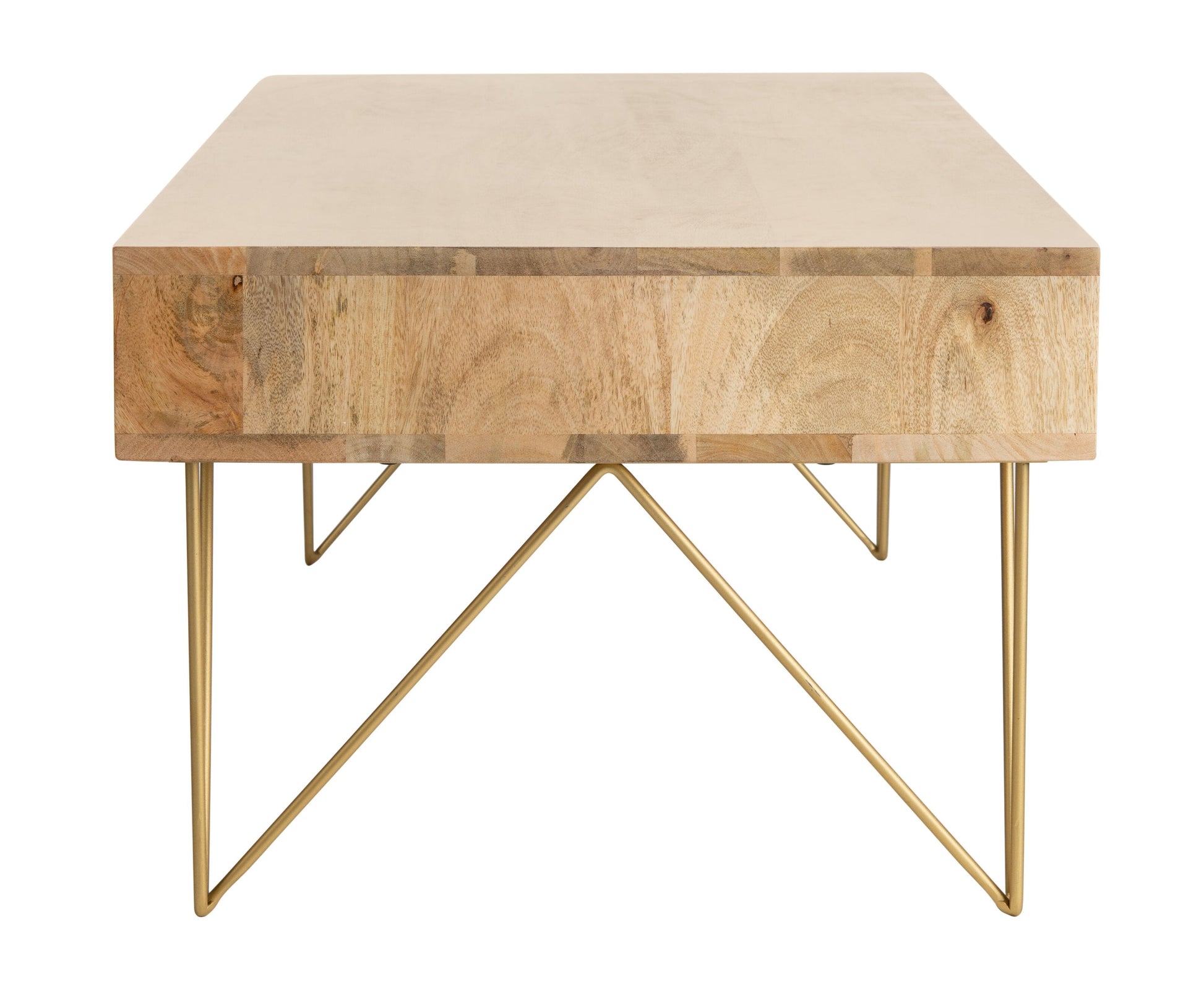 Paul Storage Coffee Table - Image 6